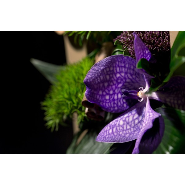 Bouquet CADRE NATUREL