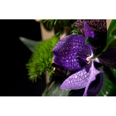 Bouquet CADRE NATUREL