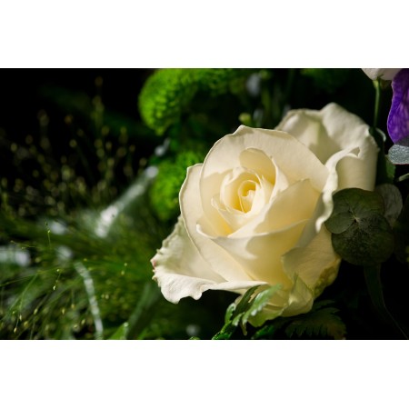 Bouquet LEGERETE
